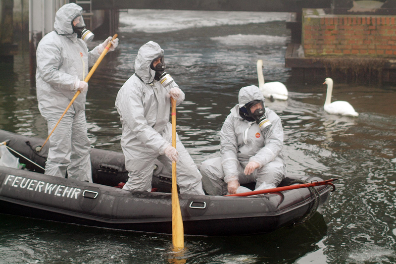 Alemania durante los casos de gripe aviar en la Isla de Ruegen. AP Images